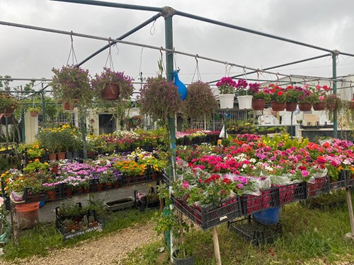 Mezar Çiçeklendirme (Peyzaj)